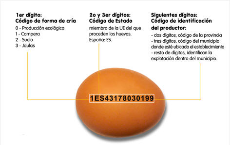 Código-europeo-de-los-huevos[1]